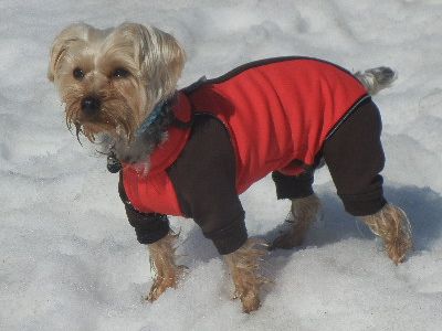 welina-dogpark