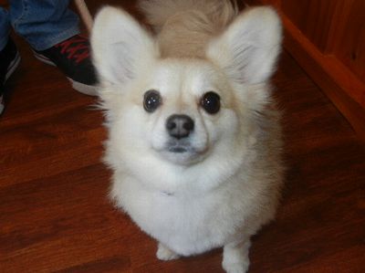 DSCN6179.JPG