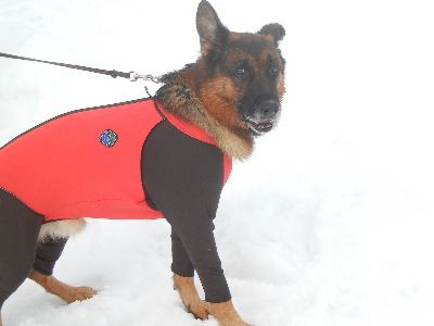 welina-dogpark