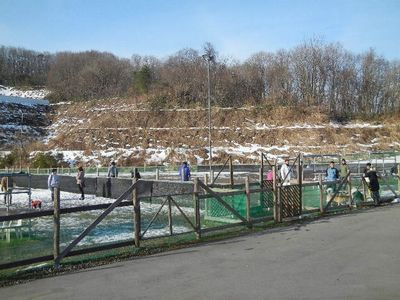 1/3ｗｅｌｉｎａｄｏｇｐａｒｋ