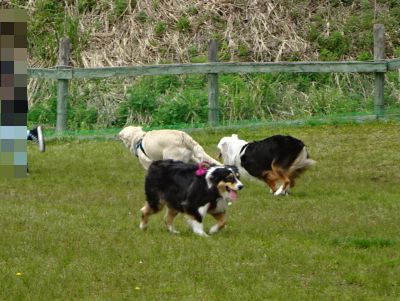 DSC00589.JPG