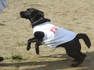 welina-dogpark