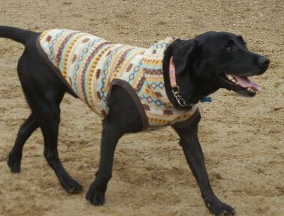 welina-dogpark