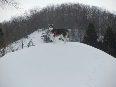 welina-dogpark