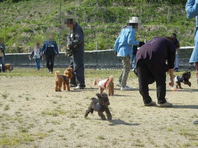 welina-dogpark