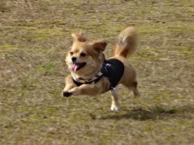 DSC01894.JPG