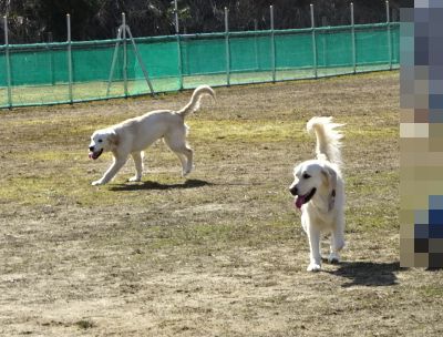 DSC02338.JPG