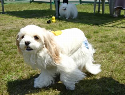 DSC04222.JPG