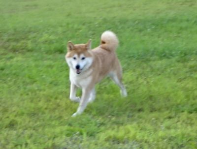 DSC06105.JPG