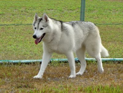 DSC02760.JPG