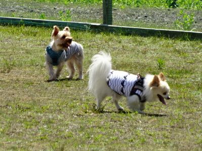 DSC06474.JPG