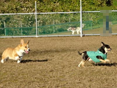 DSC06830.JPG