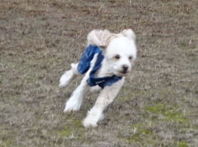 DSC00066.JPG