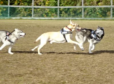 DSC00078.JPG