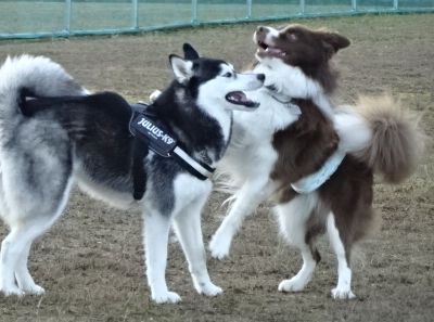 DSC00228.JPG