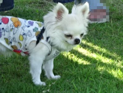 DSC00767.JPG
