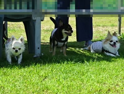DSC00774.JPG