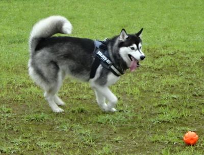 DSC00846.JPG