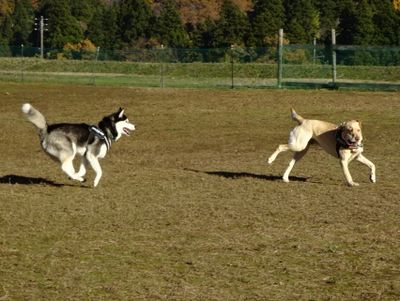 DSC01012.JPG