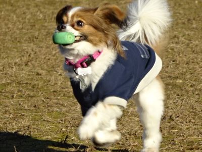 DSC01073.JPG
