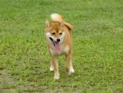 DSC01104.JPG