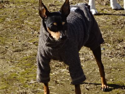 DSC01111.JPG