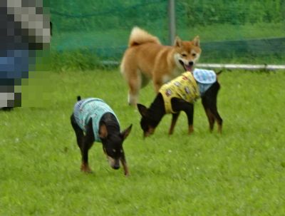 DSC01130.JPG