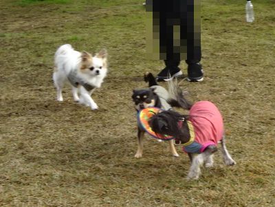 DSC01274.JPG