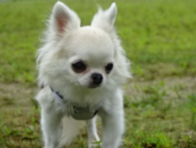 DSC01289.JPG