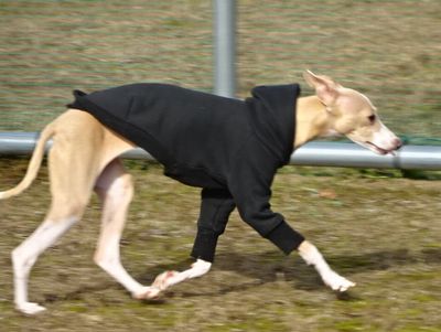 DSC01339.JPG