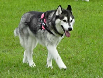 DSC01393.JPG