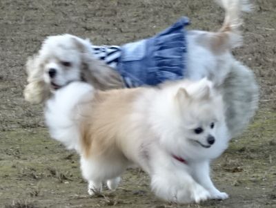DSC01429.JPG