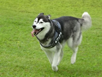 DSC01491.JPG