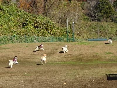 DSC01555.JPG