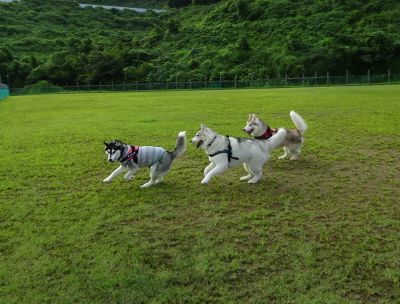 DSC01687.JPG