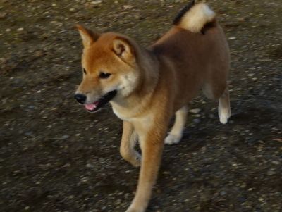 DSC01737.JPG