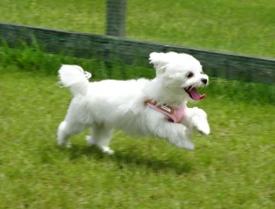 DSC01752.JPG