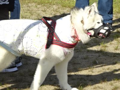 DSC05788.JPG