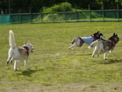 DSC06957.JPG