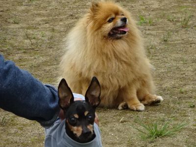 DSC07211.JPG