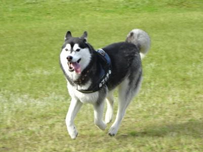 DSC07230.JPG