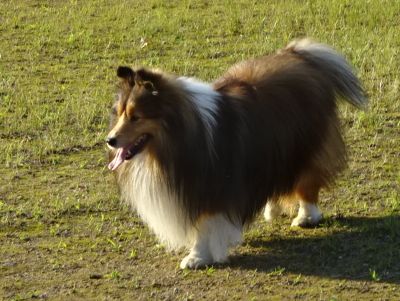 DSC07552.JPG