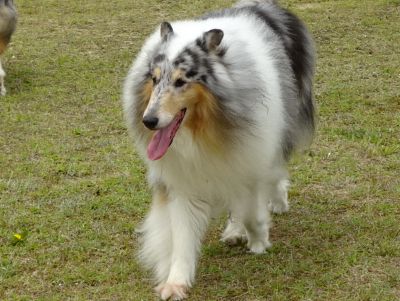 DSC07858.JPG
