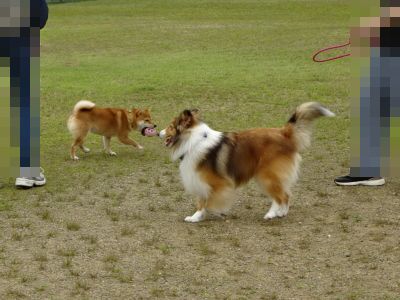 DSC08069.JPG