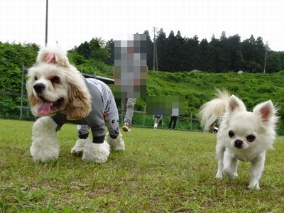 DSC08135.JPG