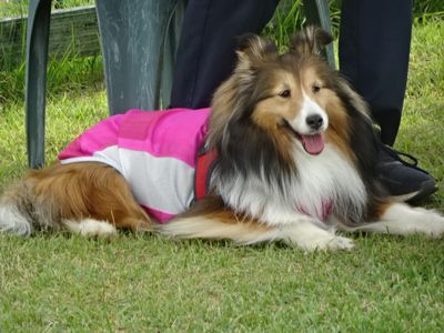 DSC08191.JPG