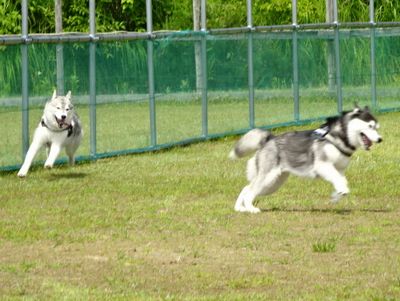 DSC08382.JPG