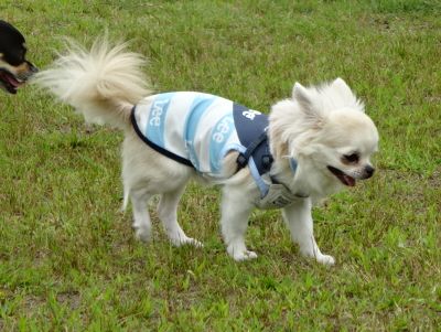DSC08737.JPG