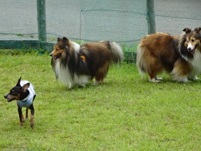 DSC08791.JPG