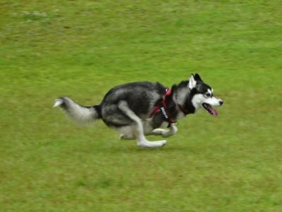 DSC08840.JPG